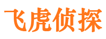 淳化市侦探调查公司